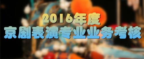 东北老女人肏屄网国家京剧院2016年度京剧表演专业业务考...